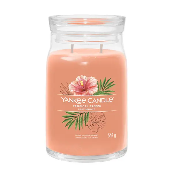 Yankee Candle Candela Aromatica Signature In Vetro Grande Tropica L Breeze 567 G