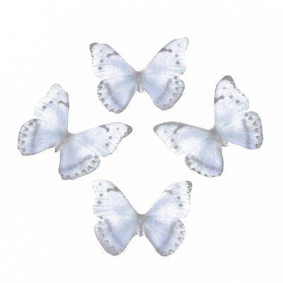 Polyester Fabric Wings Crafts Decoration