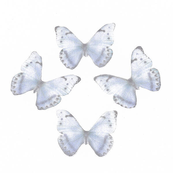 Polyester Fabric Wings Crafts Decoration