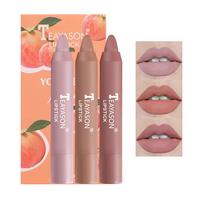 Music Festival Makeup, 3pcs/set Crayon Matte Lipstick, Long Lasting Easy Color Lipstick, Hydrating Matte Lip Gloss for Girls ...