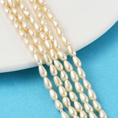 Polished Shell Pearl Beads Strands