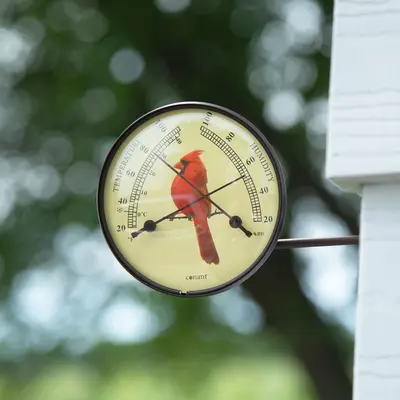 Dial Weather Station - Brass Vermont Weather Station