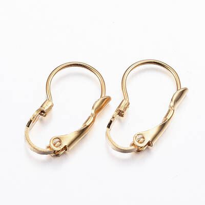 304 Stainless Steel Leverback Earring Findings
