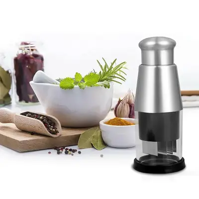 Manual Pressed Food Chopper – Upgraded Compact Mini Dicer, Stainless Steel Garlic Mincer with Black Protective Case, Handhe...