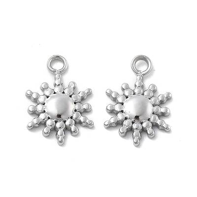 304 Stainless Steel Charms