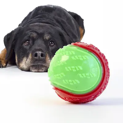 Self-pleasure Pet Squeaky Ball, Durable Dog Teeth Cleaning Toy, Bite Resistant Interactive Toy, Dogs Chewing Ball Toy, TPR So...