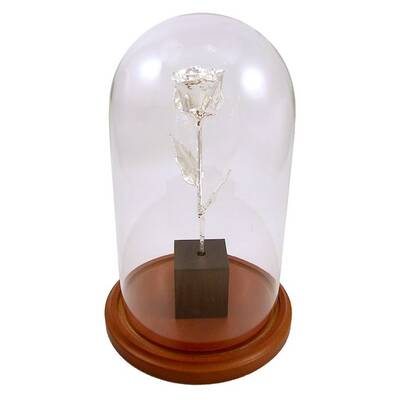 8 Enchanted 25th Anniversary Silver Rose