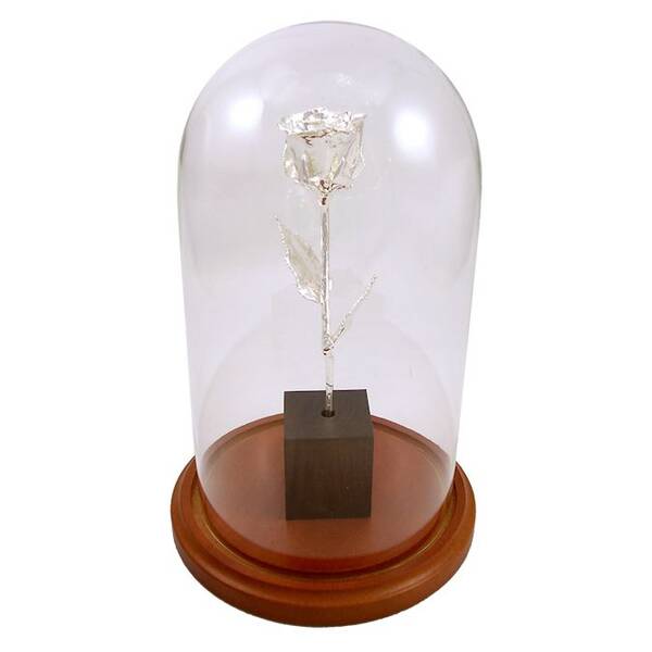 8 Enchanted 25th Anniversary Silver Rose