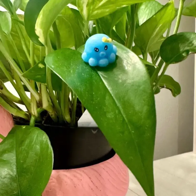 PetalPals - Plant Magnets