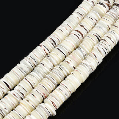 Natural Trochus Shell Beads Strands
