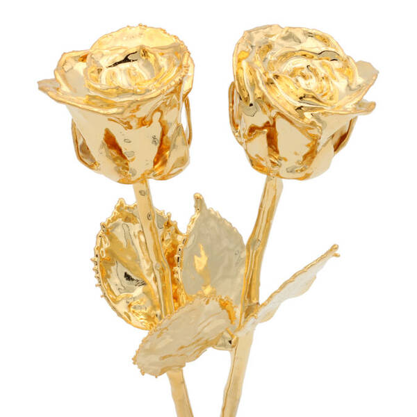 His and Her 8 24k Gold Dipped Roses