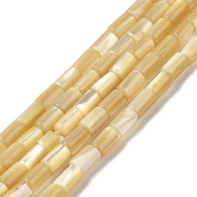 Natural Trochus Shell Beads Strands
