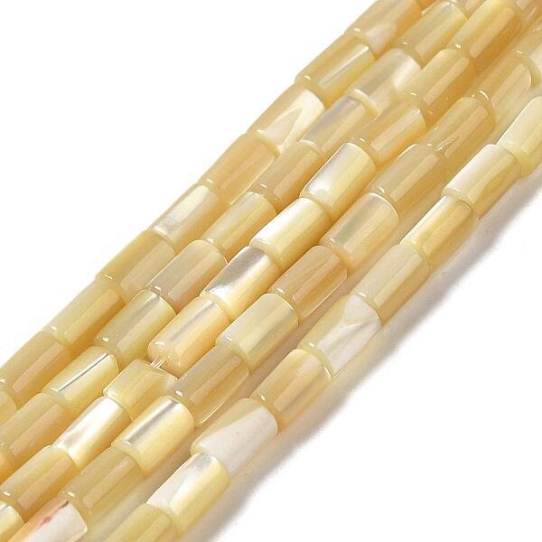 Natural Trochus Shell Beads Strands