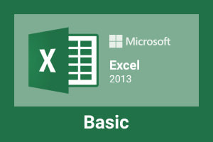 MS Excel 2013 Basic