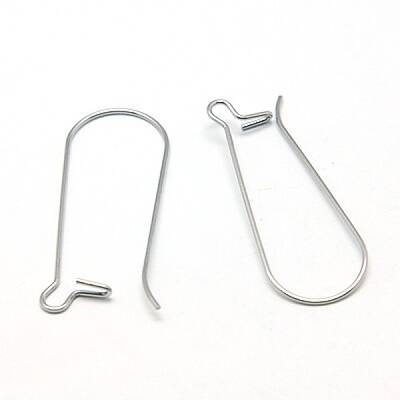 Tarnish Resistant 304 Stainless Steel Hoop Earrings Findings Kidney Ear Wires