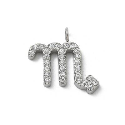304 Stainless Steel Micro Pave Cubic Zirconia Charms
