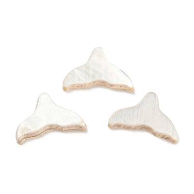 Natural Sea Shell Cabochons