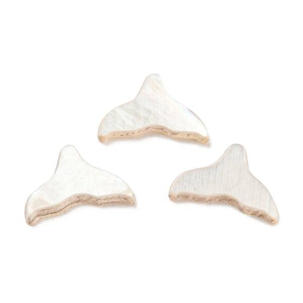 Natural Sea Shell Cabochons