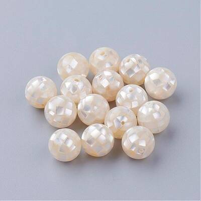 Natural White Shell Beads