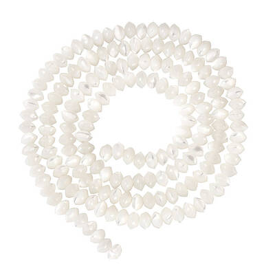 1 Strand Natural Trochus Shell Rondelle Beads Strands