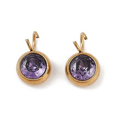 Ion Plating(IP) 304 Stainless Steel Micro Pave Cubic Zirconia Charms
