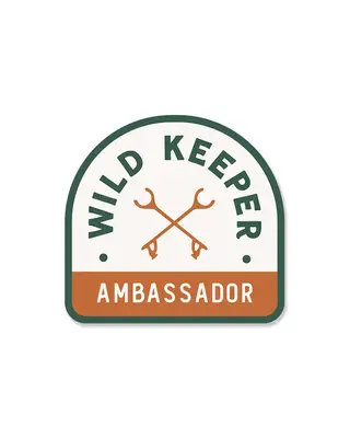 The Ambassador | Patch