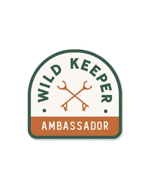 The Ambassador | Patch