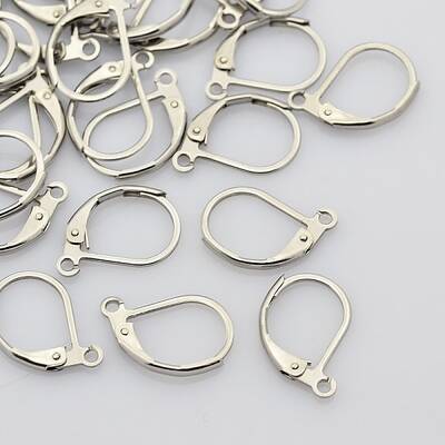 Tarnish Resistant 316L Surgical Stainless Steel Leverback Earring Findings