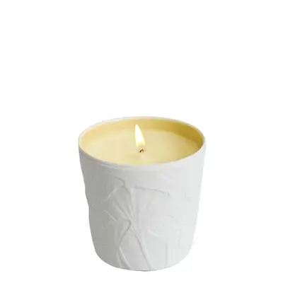 Le Jardin Retrouve Tubereuse Trianon Candle