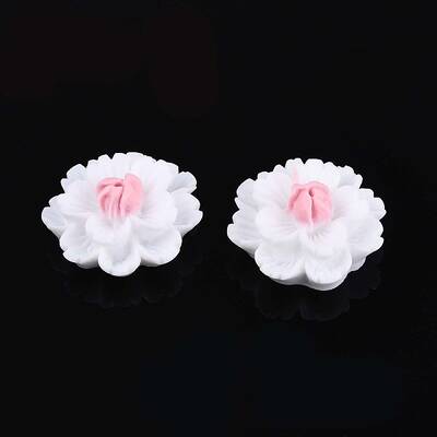 Resin Decoden Cabochons