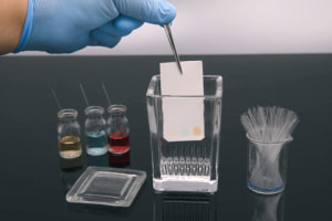 The Fundamentals of Chromatography