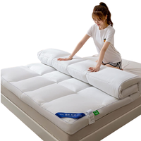 4 Inch Ultra-Fluffy Mattress Topper Queen for Back Pain, Extra Soft Pillow Top Queen Mattress Topper with 4X Support, Mattres...