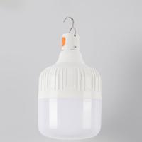 Led Charging Lamp Bulb, Outdoor Camping Light, Mobile Super Bright Emergency Light, Portable Led Light Bulb for Outdoor Campi...