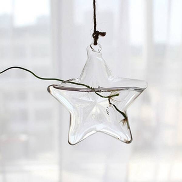 Hanging Glass Plants Planters