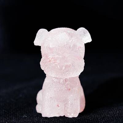 Resin Craft Display Decorations