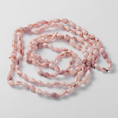 Natural Sea Shell Conch Bead Strands