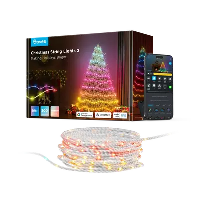 Govee Christmas Lights 2 #TikTokShopBacktoSchool
