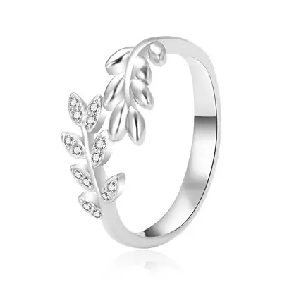 Agato AGT-R29W Silver Ring with Doors - Circuit: 54 mm