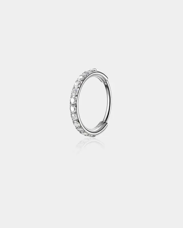 Micro CZ Hinged Segment Nose Ring - Silver / 7mm