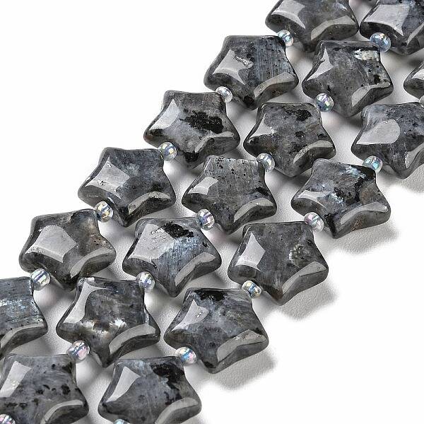 Natural Larvikite Beads Strands