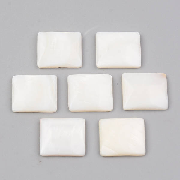 Natural Freshwater Shell Cabochons