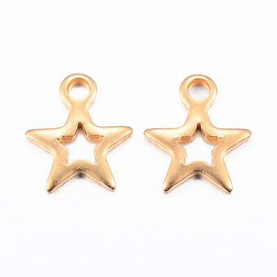 Ion Plating(IP) 304 Stainless Steel Charms