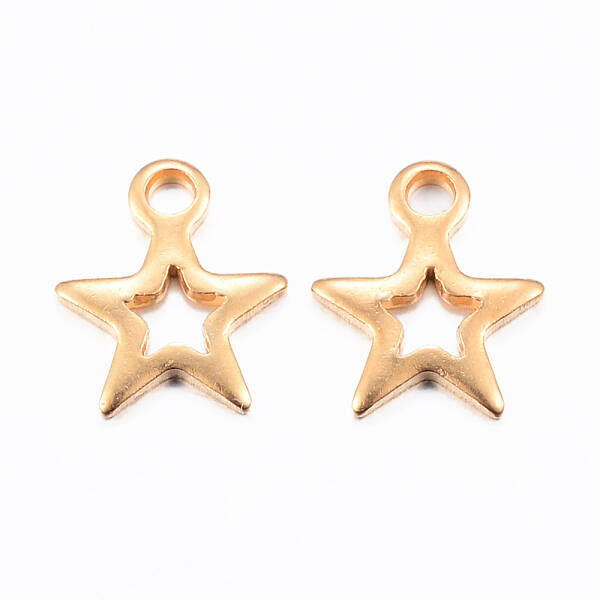 Ion Plating(IP) 304 Stainless Steel Charms