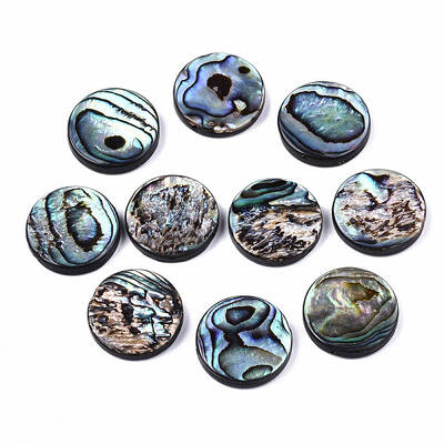Natural Abalone Shell/Paua Shell Beads
