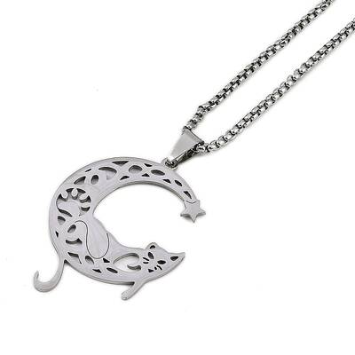 304 Stainless Steel Hollow Moon Cat Shaped Pendant Box Chain Necklaces