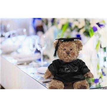 48 Custom Traditional Teddy Bear - CPSIA Certified & Plush