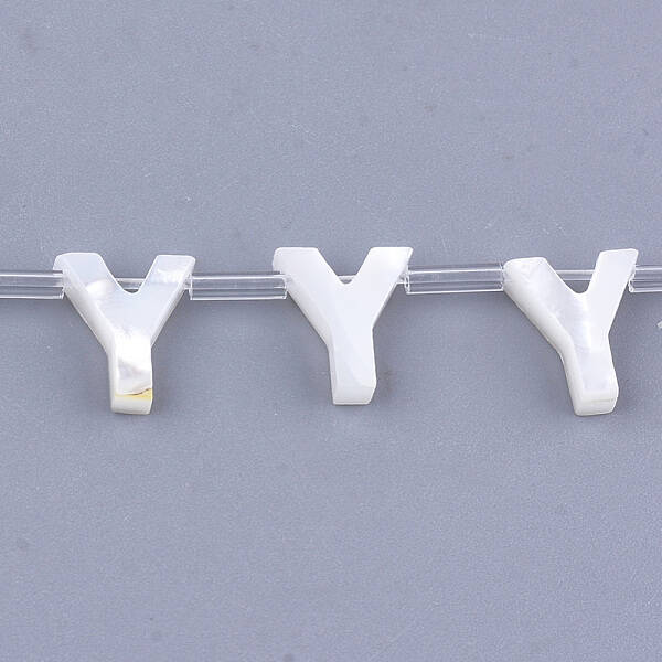 Natural Sea Shell Beads
