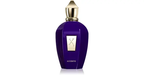Xerjoff  V  Purple Accent EDP - 100ml