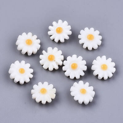 Natural Freshwater Shell Beads