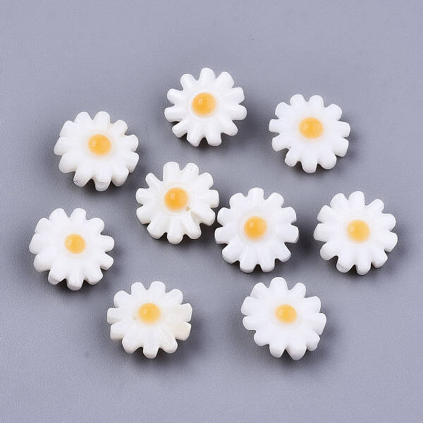 Natural Freshwater Shell Beads